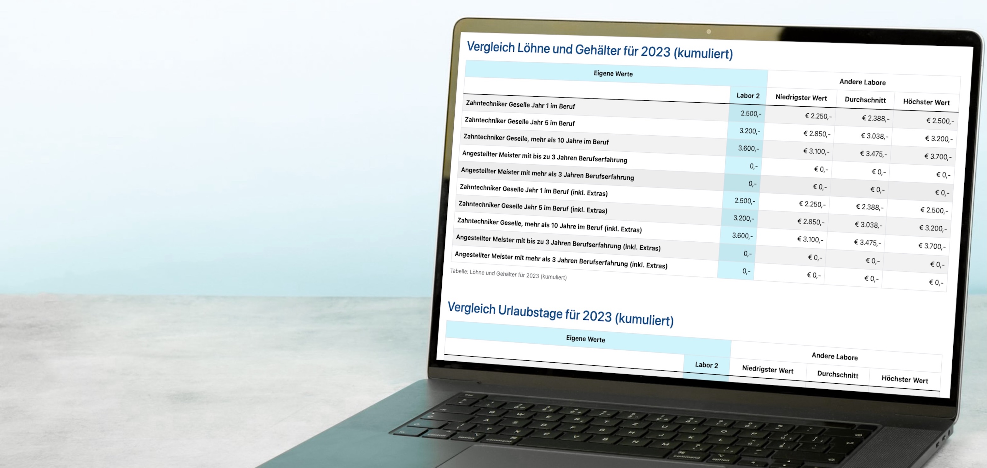 Auswertung von Löhnen für den Vergleich des Lohnniveaus.